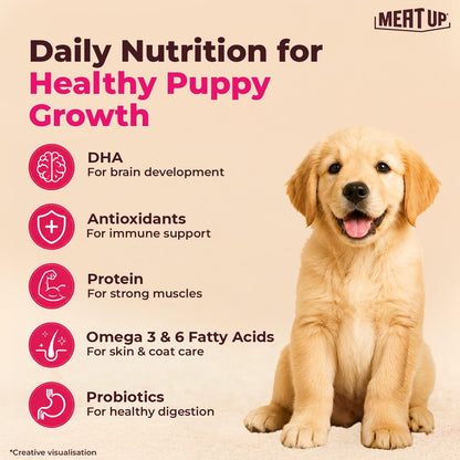 Puppy Dry Dog Food 2.4kg Pack (1.2kg + 1.2kg) | Chicken & Milk Flavour | Supports Growth | Highly Palatable & Easily Digestible