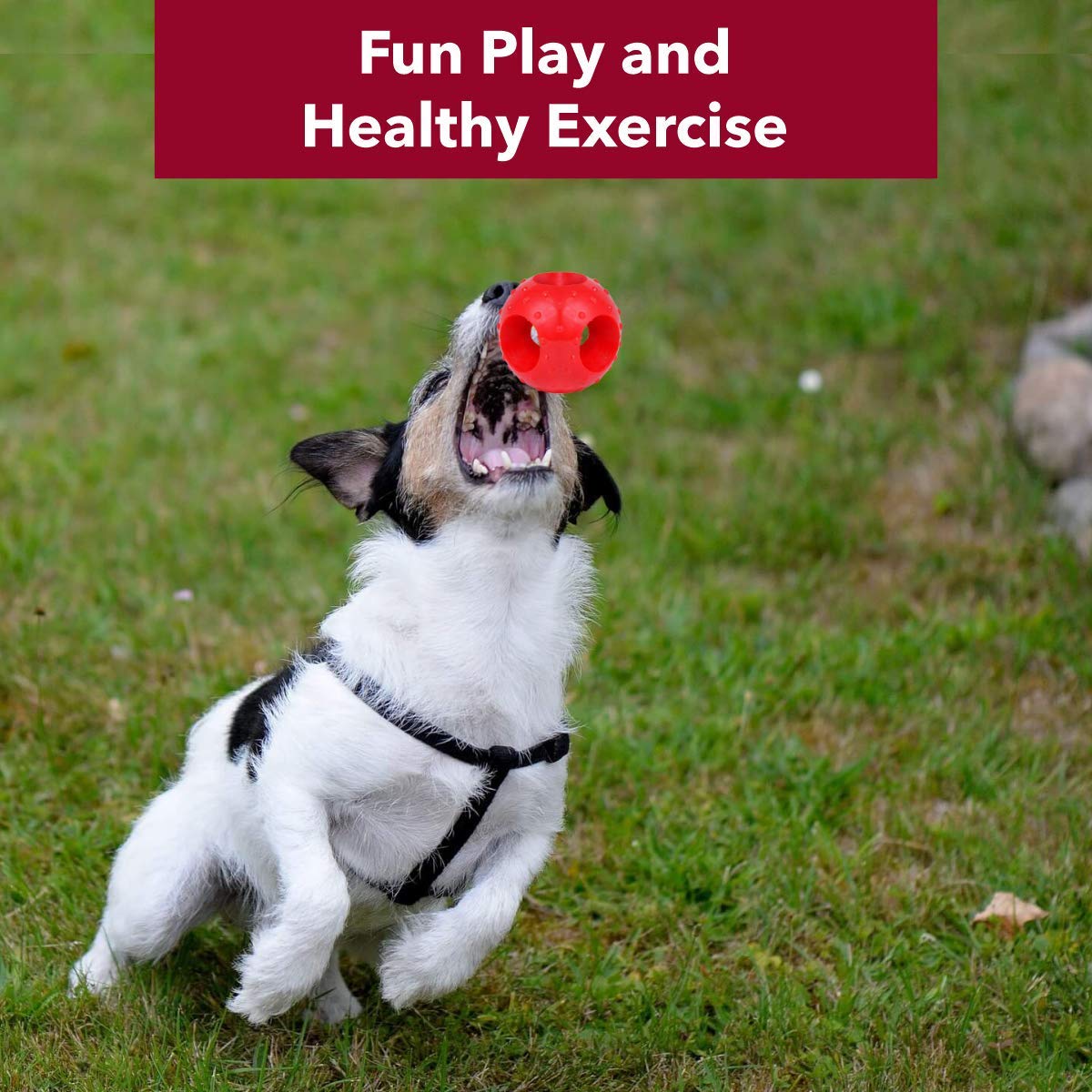 Non-Toxic Rubber Hole Ball Toy, Puppy/Dog Teething Toy - 7.62 cm Pack