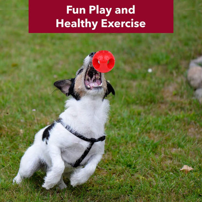 Non-Toxic Rubber Hole Ball Toy, Puppy/Dog Teething Toy - 7.62 cm Pack