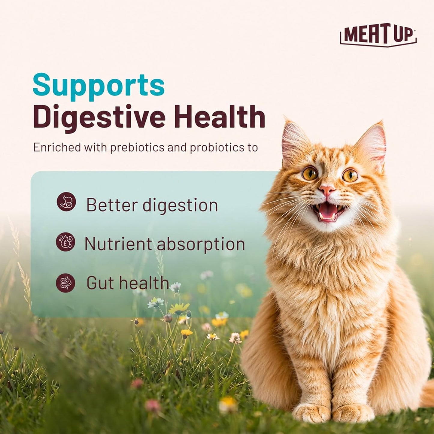 Adult Dry Cat Food(2 x 1.2Kg Free), Total 2.4Kg | Tuna & Salmon Flavour | Supports Urinary pH Balance | Reduces Hairball Formation | Promotes Skin & Coat Health | Taurine for Cardiac Support