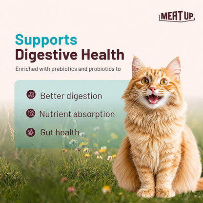 Adult Dry Cat Food(2 x 1.2Kg Free), Total 2.4Kg | Tuna & Salmon Flavour | Supports Urinary pH Balance | Reduces Hairball Formation | Promotes Skin & Coat Health | Taurine for Cardiac Support