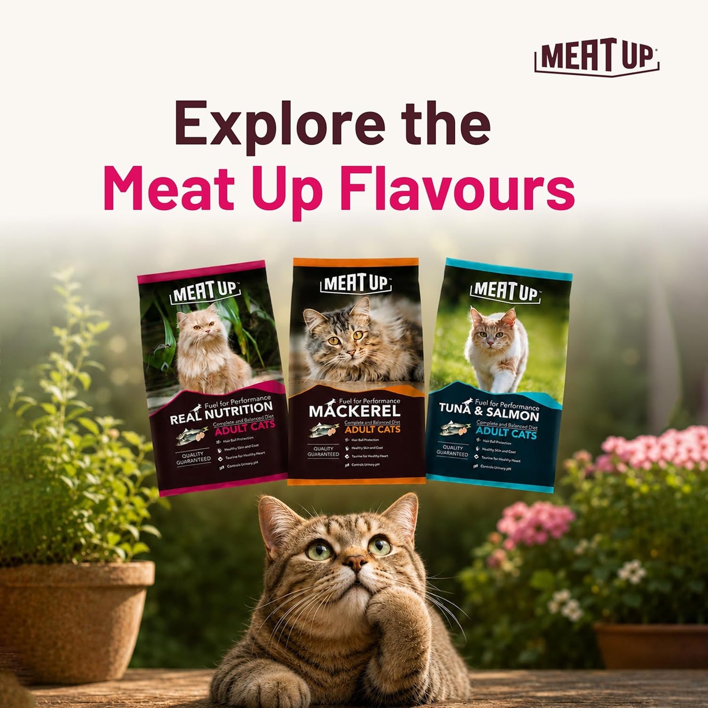 Adult Dry Cat Food 1.2Kg + 1.2kg, Total 2.4Kg | Ocean Fish Flavour| Maintains Urinary pH | Hair ball protection | Healthy skin & Coat | Taurine for healthy heart