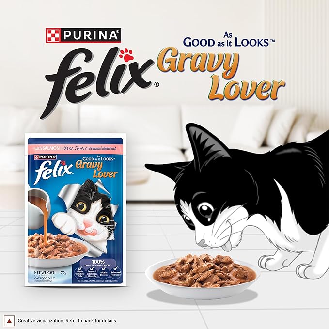 Felix Gravy Lover, Tasty & Real Meaty Salmon Chunks, Wet Cat Food, Balanced Nutrition, 24 Months, Pack of 12 Pouches (12x70g)