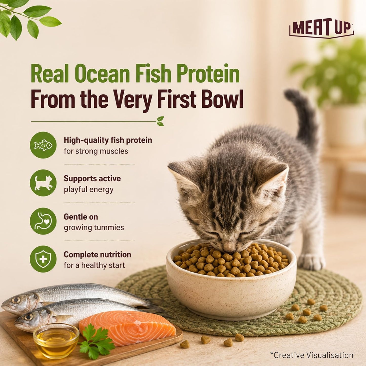Kitten Dry Cat Food (Up to 12 Months) 1.2kg + 1.2kg (Total 2.4kg Pack) | Ocean Fish Flavour | Complete Nutrition | Taurine for Heart