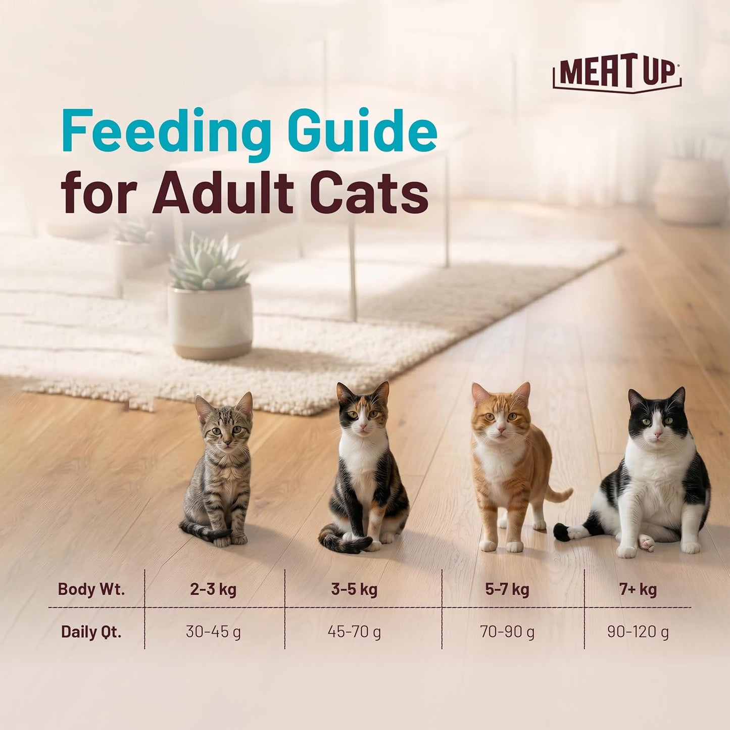 Adult Dry Cat Food(2 x 1.2Kg Free), Total 2.4Kg | Tuna & Salmon Flavour | Supports Urinary pH Balance | Reduces Hairball Formation | Promotes Skin & Coat Health | Taurine for Cardiac Support