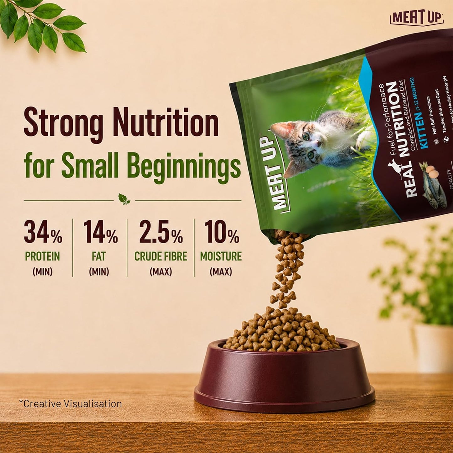 Kitten Dry Cat Food (Up to 12 Months) 1.2kg + 1.2kg (Total 2.4kg Pack) | Ocean Fish Flavour | Complete Nutrition | Taurine for Heart