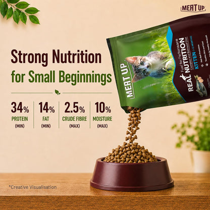 Kitten Dry Cat Food (Up to 12 Months) 1.2kg + 1.2kg (Total 2.4kg Pack) | Ocean Fish Flavour | Complete Nutrition | Taurine for Heart