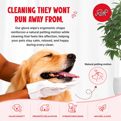Complete Care Kit for Dogs & Cats | Dental Wipes + Grooming Gloves | Full Body Hygiene Solution | Vanilla Coconut Fragrance