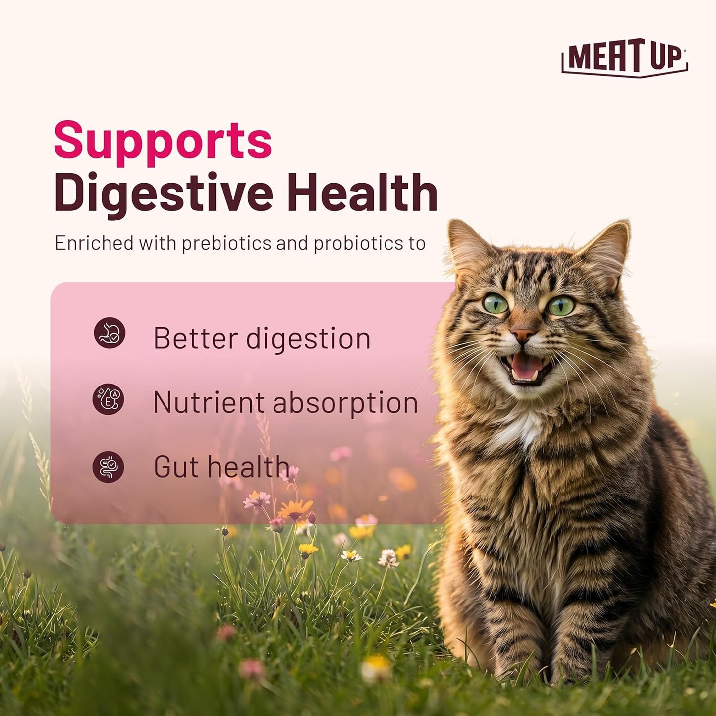 Adult Dry Cat Food 14kg (7kg + 7kg) | Ocean Fish Flavour | Maintains Urinary pH | Hairball Control | Promotes Healthy Skin & Coat | Supports Heart Health