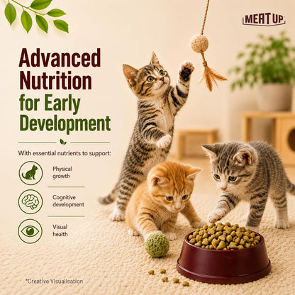 Kitten Dry Cat Food 1.2kg (600g + 600g ) | Ocean Fish Flavour | Maintains Urinary pH | Hairball Protection | Healthy Skin & Coat | Taurine for Heart Health