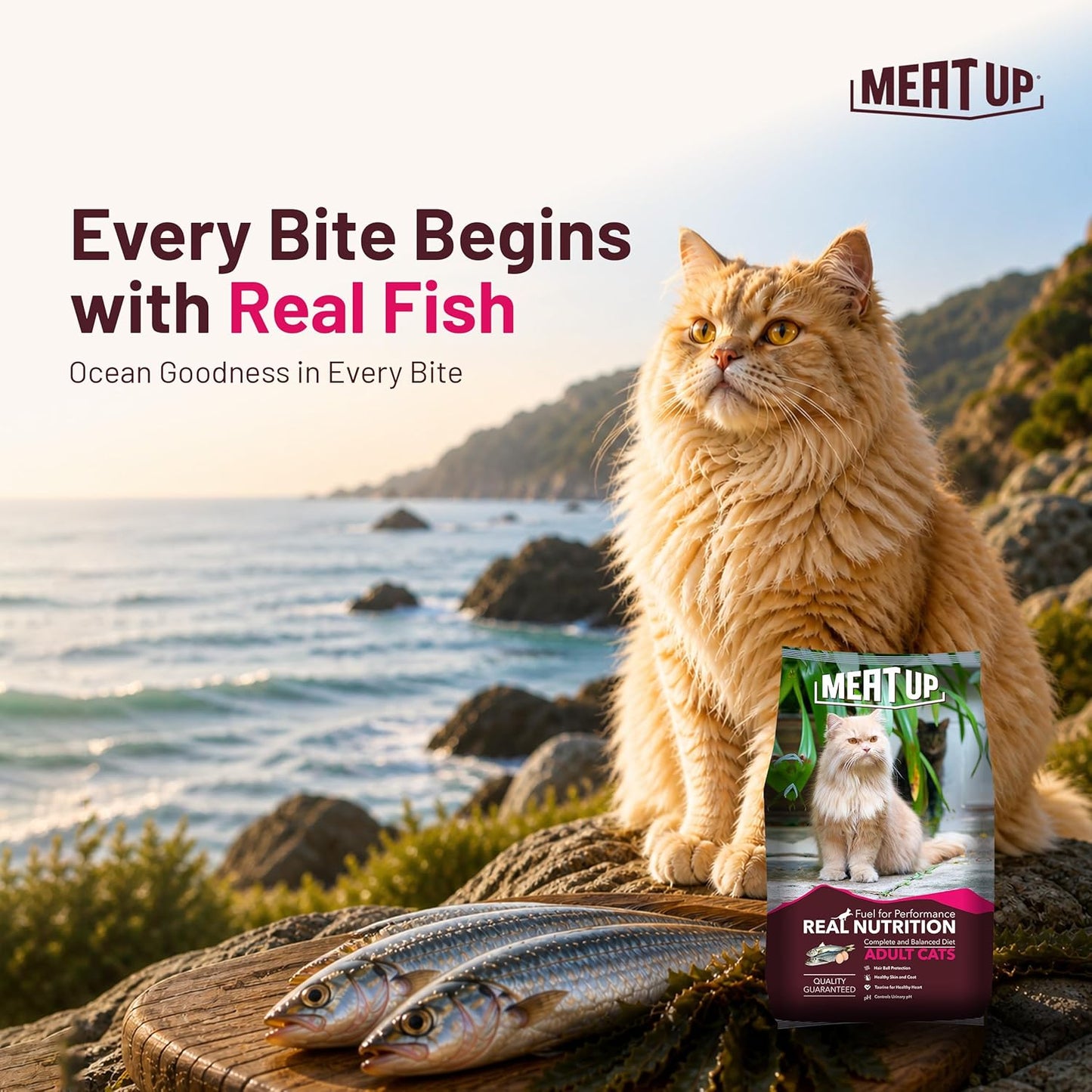 Adult Dry Cat Food 1.2Kg + 1.2kg, Total 2.4Kg | Ocean Fish Flavour| Maintains Urinary pH | Hair ball protection | Healthy skin & Coat | Taurine for healthy heart