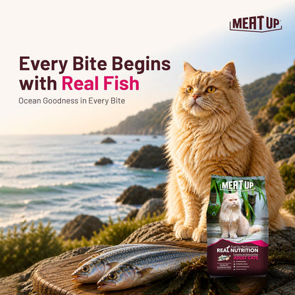 Adult Dry Cat Food 1.2Kg + 1.2kg, Total 2.4Kg | Ocean Fish Flavour| Maintains Urinary pH | Hair ball protection | Healthy skin & Coat | Taurine for healthy heart