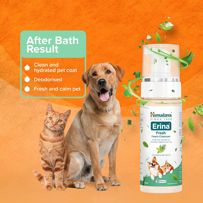 Erina Fresh | 150 ml | Rinse-Free Foam Cleanser/Dry Shampoo with Aloe Vera, Holy Basil & Tea Tree Oil