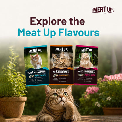 Adult Dry Cat Food(2 x 1.2Kg Free), Total 2.4Kg | Tuna & Salmon Flavour | Supports Urinary pH Balance | Reduces Hairball Formation | Promotes Skin & Coat Health | Taurine for Cardiac Support