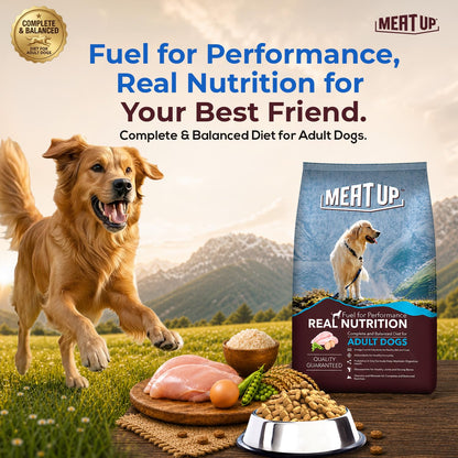 Adult Dry Dog Food 6kg (3kg + 3kg) | Chicken Flavour | Glucosamine for Healthy Joints & Bones | Enriched with Vitamins & Minerals | Supports Digestive Health