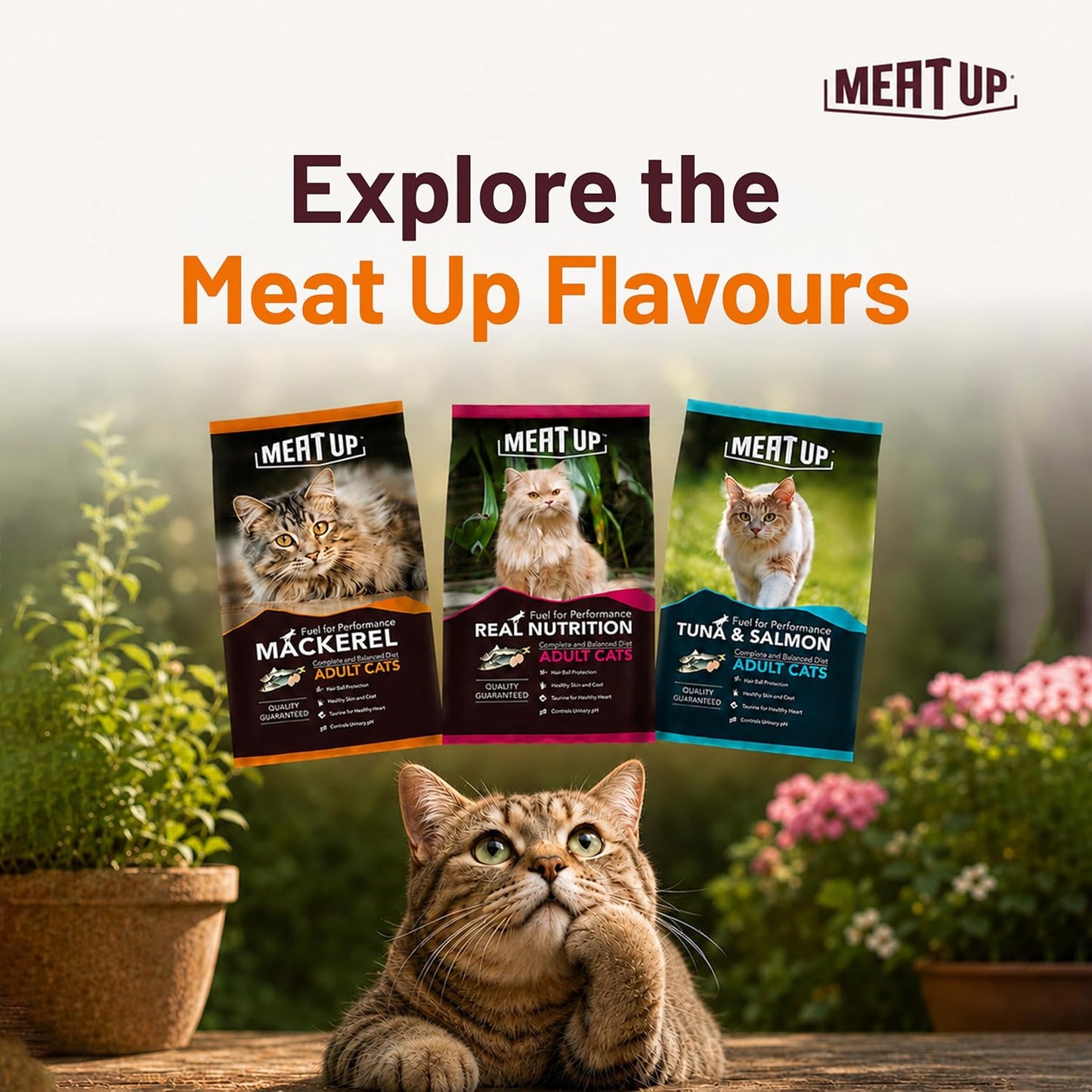 Adult Dry Cat Food Total 2.4Kg | Mackerel Flavour | Supports Urinary pH Balance | Reduces Hairball Formation | Promotes Skin & Coat Health | Taurine for Cardiac Support