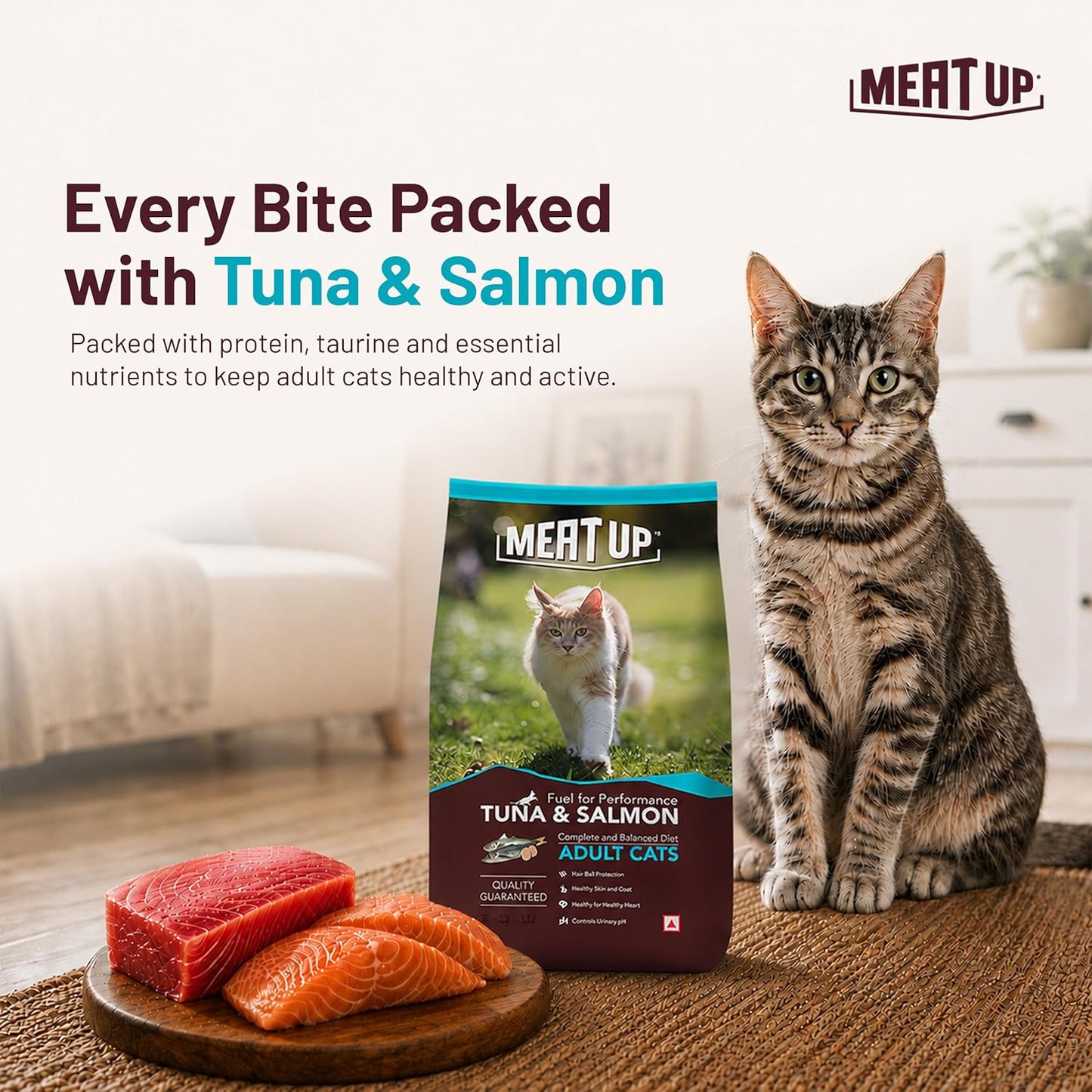 Adult Dry Cat Food(2 x 1.2Kg Free), Total 2.4Kg | Tuna & Salmon Flavour | Supports Urinary pH Balance | Reduces Hairball Formation | Promotes Skin & Coat Health | Taurine for Cardiac Support