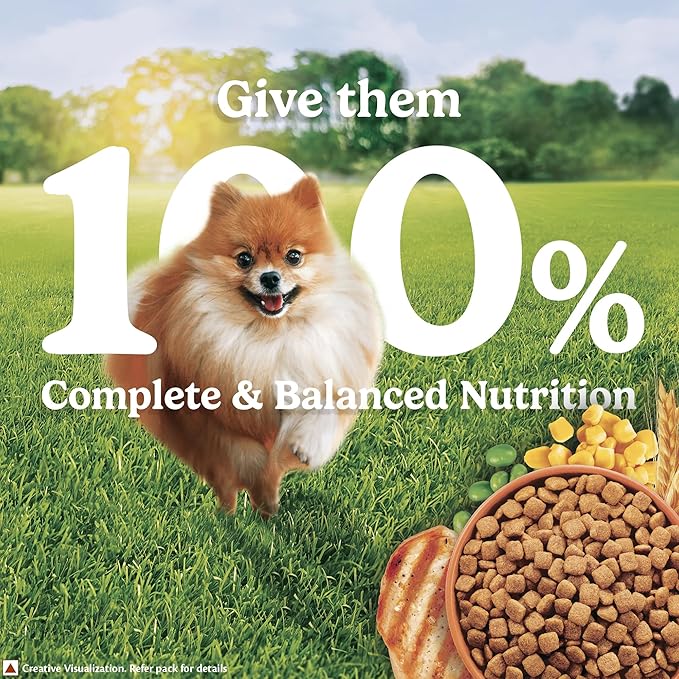 Friskies Chicken Small Breed Adult Dog Food, Dry Dog Food, Balanced Nutrition, 2.5 kg