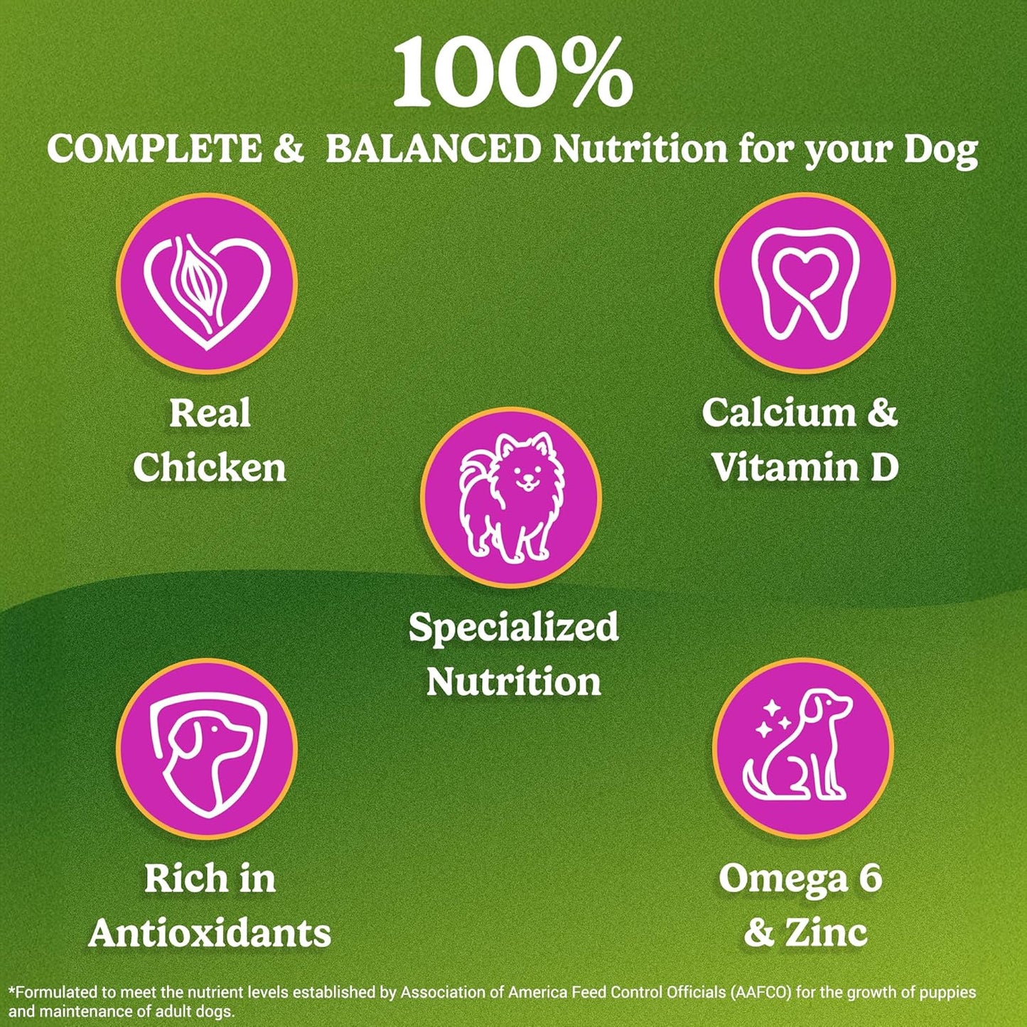 Friskies Chicken Small Breed Adult Dog Food, Dry Dog Food, Balanced Nutrition, 2.5 kg