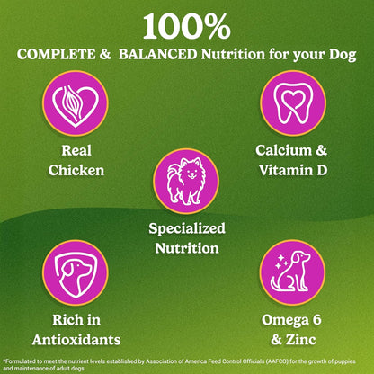 Friskies Chicken Small Breed Adult Dog Food, Dry Dog Food, Balanced Nutrition, 2.5 kg