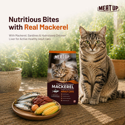 Adult Dry Cat Food Total 2.4Kg | Mackerel Flavour | Supports Urinary pH Balance | Reduces Hairball Formation | Promotes Skin & Coat Health | Taurine for Cardiac Support